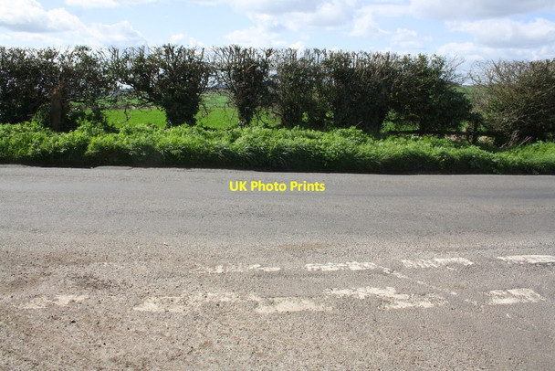 Photo 6"x4" Old gatepost in hedge at road junction Great Milton c2014