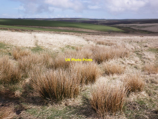 Photo 6"x4" Rough grassland on South Common Oareford c2014