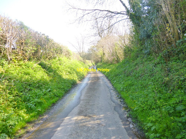 Photo 6"x4" Morden, country lane East Morden c2014