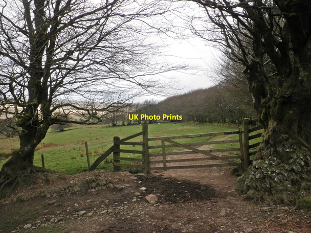 Photo 6"x4" Gateway above Long Combe Oareford c2014