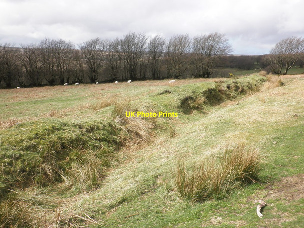 Photo 6"x4" Field boundary, above Long Combe Oareford c2014