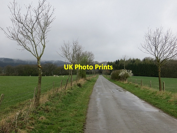 Photo 6"x4" Road to Lady Halton Bromfield\/SO4876 c2014
