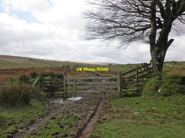 Photo 6"x4" Gateway, Larkbarrow Larkbarrow c2014