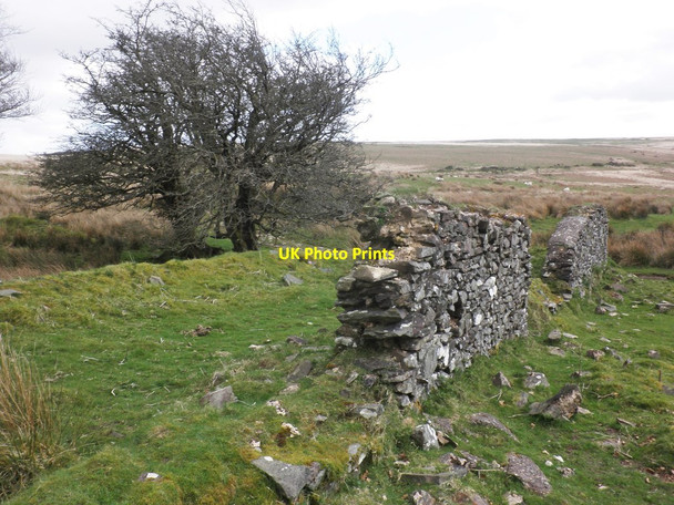 Photo 6"x4" Remains of outbuilding at Larkbarrow Larkbarrow c2014