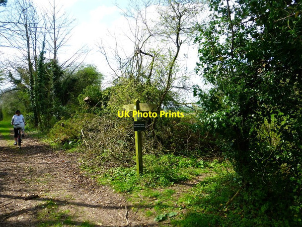 Photo 6"x4" Signpost on the Ox Drove Way at footpath junction Chilton Candover c2014