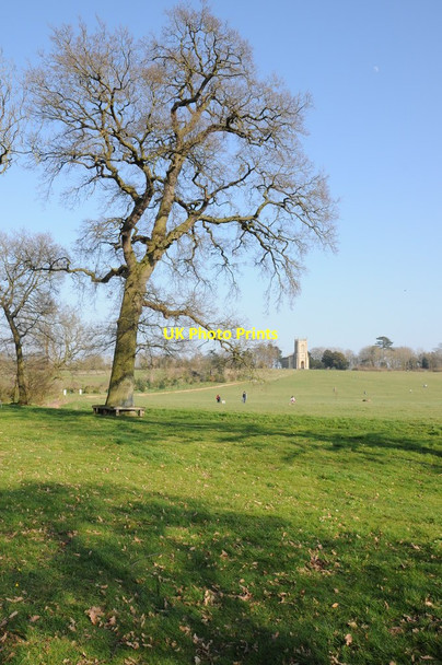 Photo 6"x4" Croome Park and Croome church High Green\/SO8745 c2014