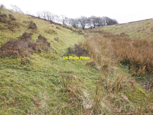 Photo 6"x4" Feeder stream on Lucott Moor Lucott Cross c2014