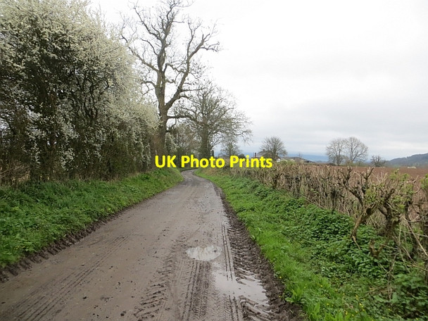 Photo 6"x4" Road between The Poles and Lady Halton Lady Halton c2014