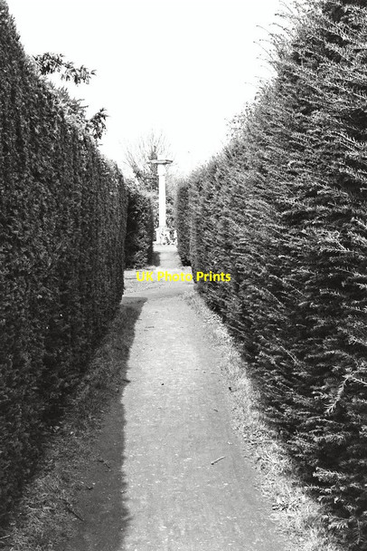 Photo 6"x4" Chiswick Villa and landscape Chiswick c2014