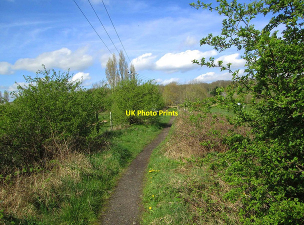 Photo 6"x4" Path to Kingsway, Stourport-on-Severn Stourport-on-Severn c2014