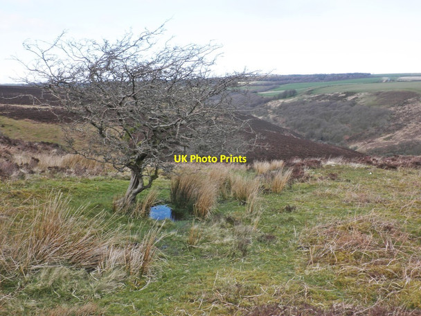 Photo 6"x4" Above Weir Water valley Oareford c2014