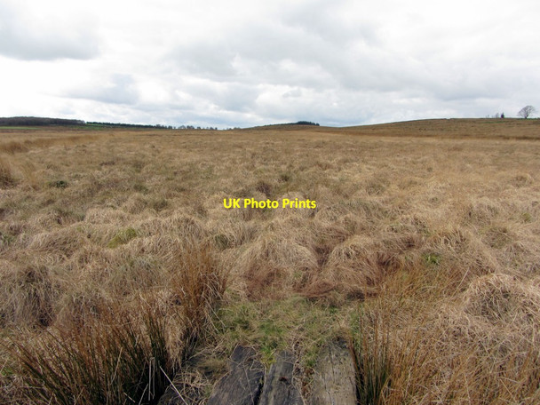 Photo 6"x4" Whinnetley Moss north of Haresby Road Chesterwood c2014