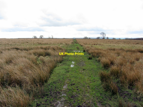 Photo 6"x4" Track crossing Whinnetley Moss towards Haresby Road Chesterwood c2014