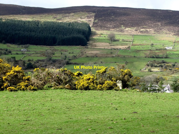 Photo 6"x4" Clonlum Court Tomb off Clonlum Road Flurrybridge c2014
