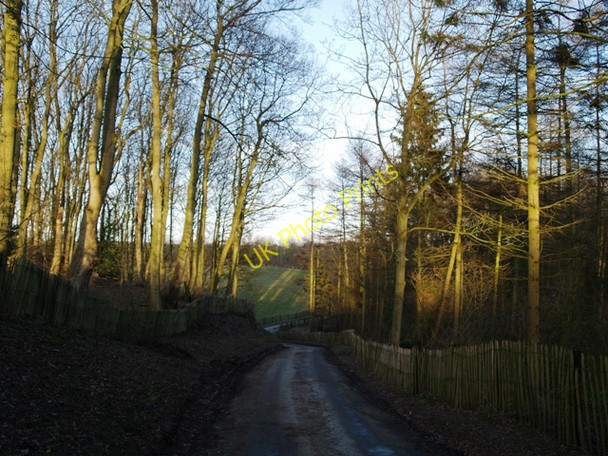 Photo 6"x4" Hagg Road near Hagg Wood Fadmoor c2008