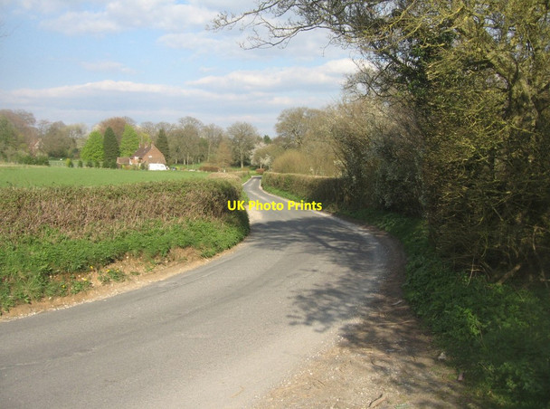 Photo 6"x4" Trenchard Lane by Ganderdown Copse Dummer c2014