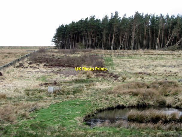 Photo 6"x4" Line of the Black Dyke north of Haresby Road Chesterwood c2014