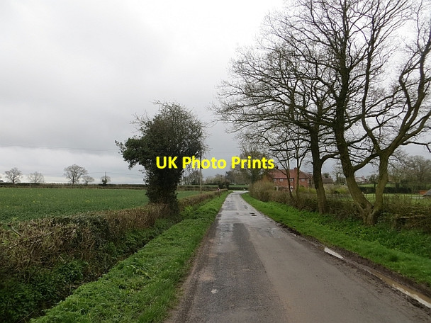 Photo 6"x4" Minor road near Bockleton Bockleton c2014