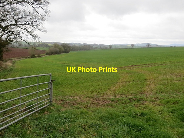 Photo 6"x4" Arable land Grendon Green c2014