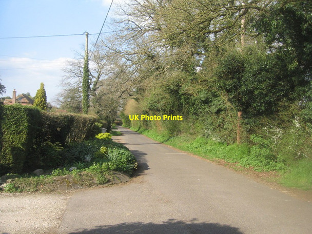 Photo 6"x4" Pardown - looking north Pardown c2014