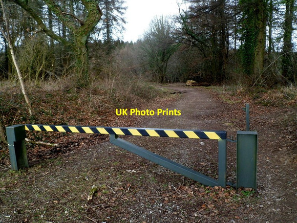 Photo 6"x4" Usk Road barrier across a forest track into Wentwood Pen-y-cae-mawr c2012