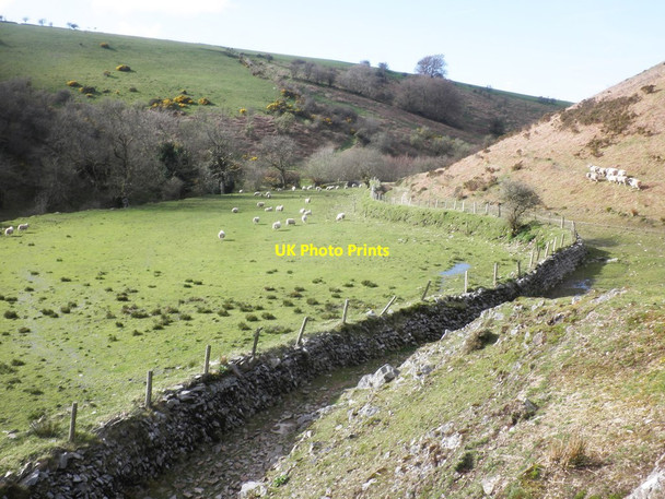 Photo 6"x4" Sheep grazing, Chalk Water valley Oareford c2014