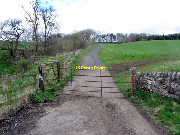 Photo 6"x4" Track north of A69 at Crow Hall Bardon Mill c2014