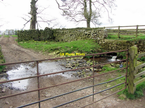 Photo 6"x4" Ford near Cuddy's Wood Thorngrafton c2014