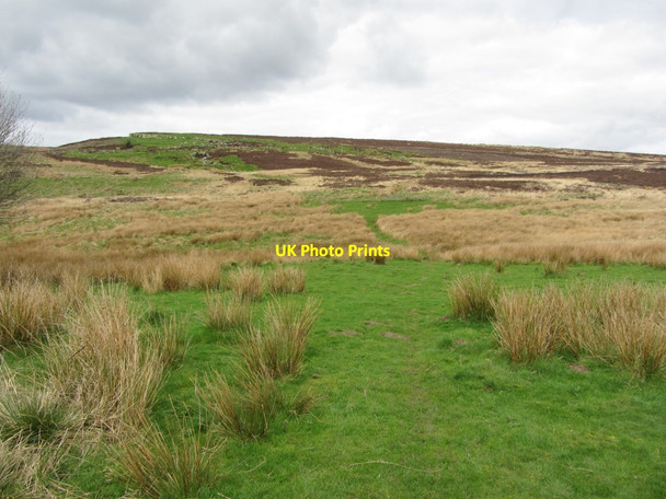 Photo 6"x4" Thorngrafton Common north of Haresby Road Thorngrafton c2014