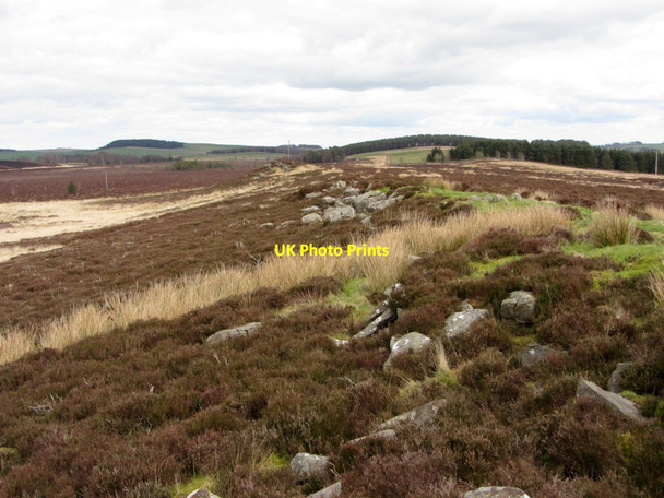Photo 6"x4" Ridge on Thorngrafton Common Thorngrafton c2014