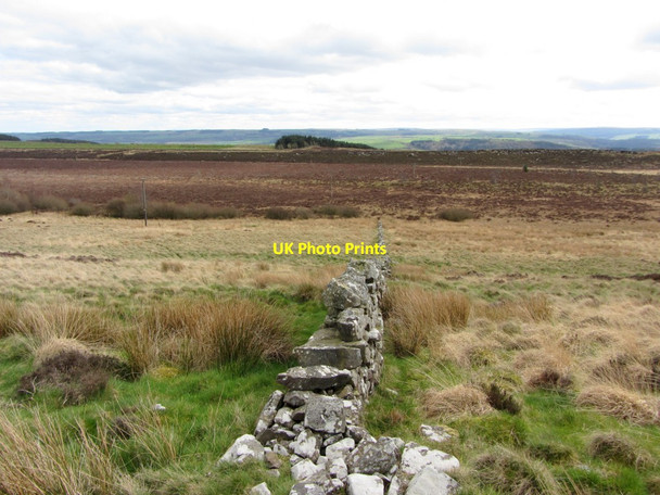 Photo 6"x4" Wall at Muckle Moss Thorngrafton c2014
