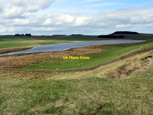Photo 6"x4" West end of Grindon Lough Chesterwood c2014