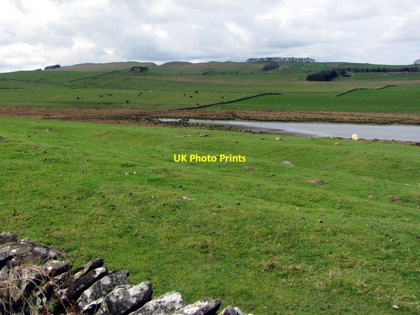 Photo 6"x4" West end of Grindon Lough Chesterwood c2014 P1