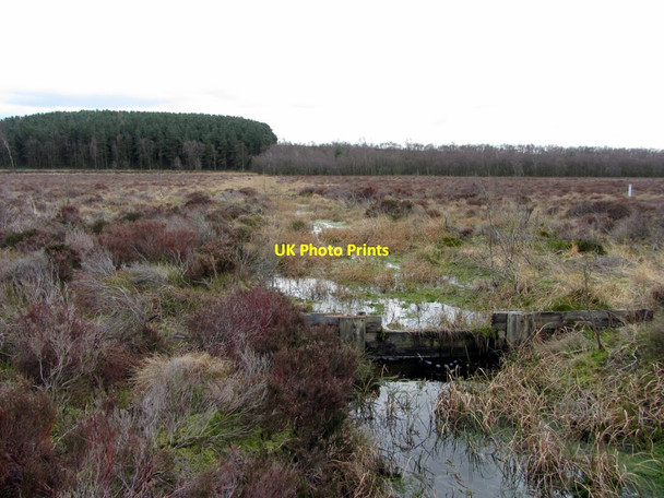 Photo 6"x4" Dammed drain at Muckle Moss National Nature Reserve Chesterwood c2014