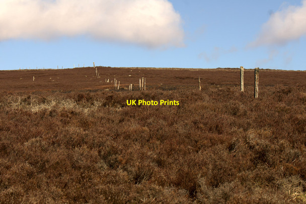 Photo 6"x4" Old fence line on the track up Cat Law Balintore\/NO2859 c2014