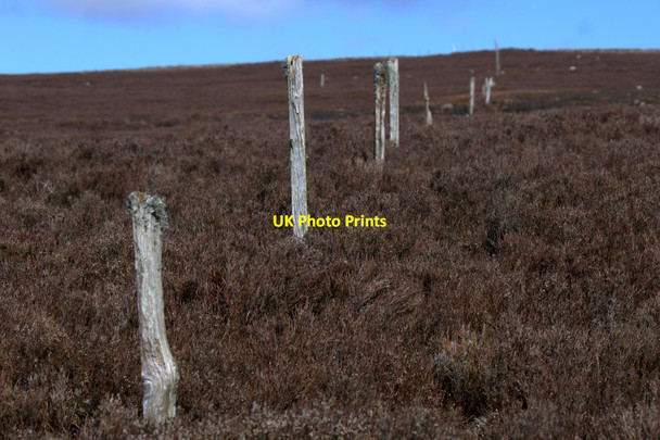 Photo 6"x4" Old fence line on the track up Cat Law Balintore\/NO2859 c2014
