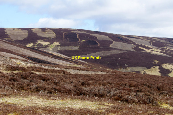 Photo 6"x4" Grouse moorland on the southern flanks of Cat Law Balintore\/NO2859 c2014