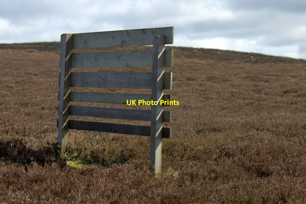 Photo 6"x4" Grouse butt along the track up Cat Law Ascreavie c2014