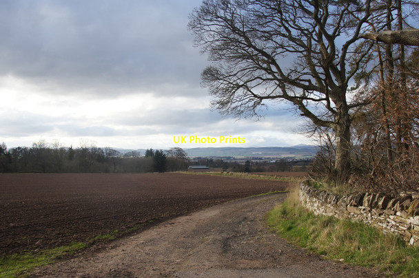 Photo 6"x4" Track to Hallyburton House Kettins c2014