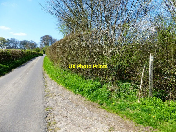 Photo 6"x4" Footpath junction on Farleigh Lane Dummer c2014