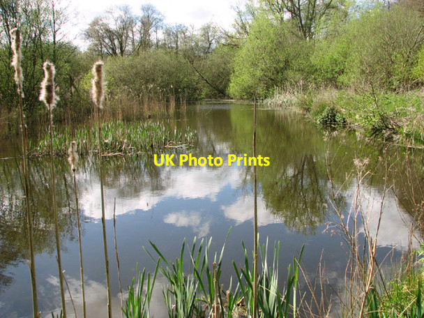 Photo 6"x4" Pond in Stanley Carrs Waterloo\/TM4293 c2014
