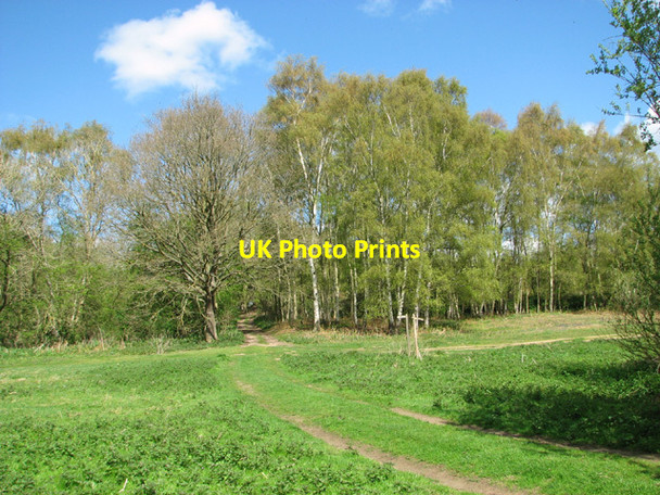 Photo 6"x4" Footpath junction by Stanley Hills Waterloo\/TM4293 c2014