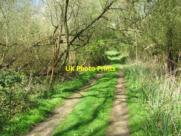 Photo 6"x4" Track in Stanley Carrs Beccles c2014