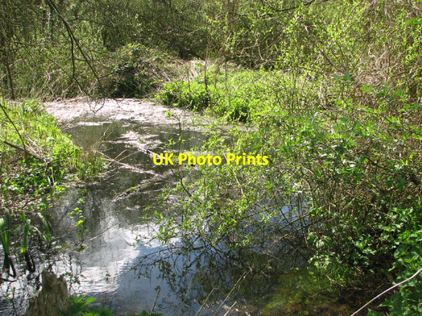Photo 6"x4" Small pond in Stanley Carrs Waterloo\/TM4293 c2014