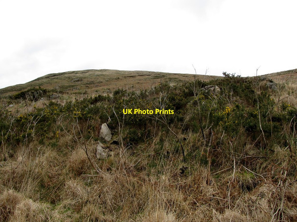 Photo 6"x4" View north along the western slopes of Camlough Mountain Camlough c2014