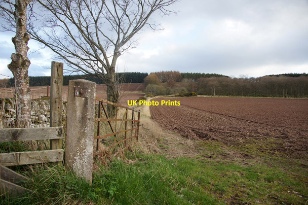 Photo 6"x4" Fields, Hill of Baldowrie Ardler\/NO2641 c2014