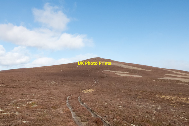 Photo 6"x4" Track to Geallaig Hill Crathie\/NO2694 c2014