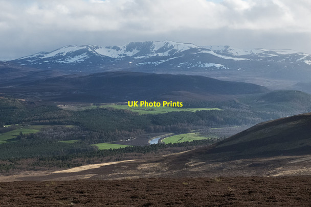 Photo 6"x4" On the south side of Geallaig Hill Crathie\/NO2694 c2014