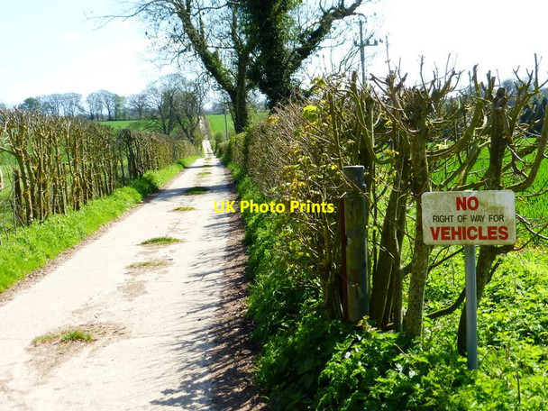 Photo 6"x4" Bridleway proceeds southwards from Dummer Dummer c2014