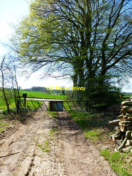 Photo 6"x4" Farm track south of Dummer Dummer c2014